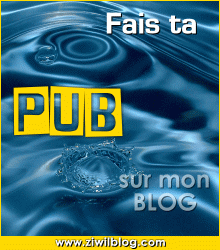 bienvenue chez fallou